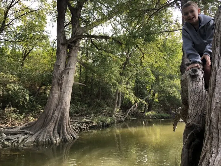 McKinney Falls State Park